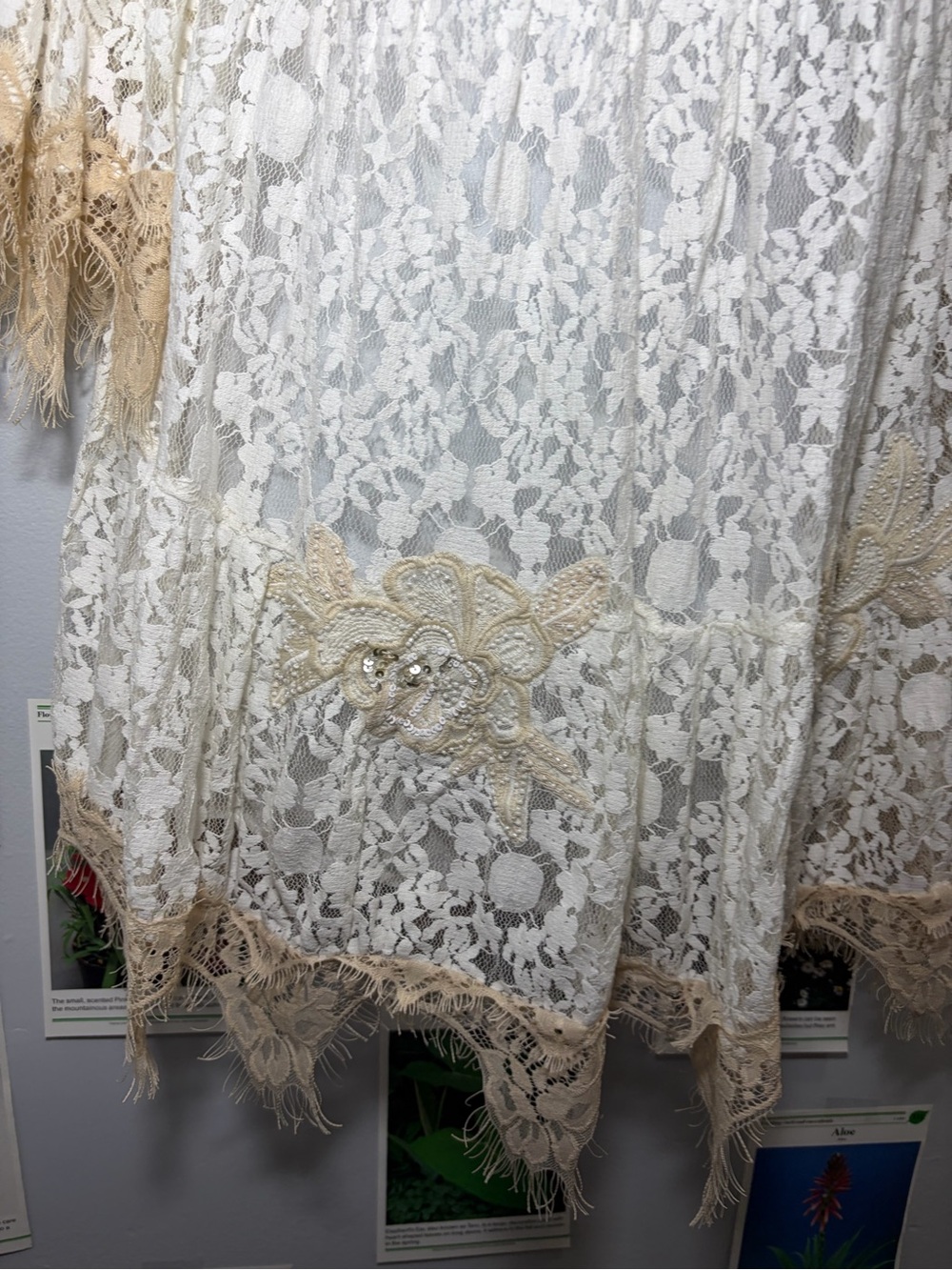 VENUS White Lace Boho Dress with Beige Trim - Picture 3 of 6
